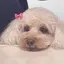 ENFPのプロフィール画像