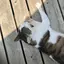 ゆいのプロフィール画像
