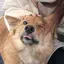 ブブのプロフィール画像