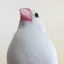 るんのプロフィール画像