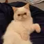 セツのプロフィール画像
