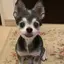ゆりのプロフィール画像