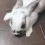 まい◡̈♥︎のプロフィール画像