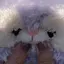 yy10のプロフィール画像