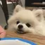 えるのプロフィール画像
