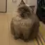 kanaのプロフィール画像