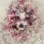 愛唯のプロフィール画像