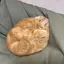 ユリナのプロフィール画像