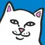 こーさんのプロフィール画像