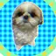 さとうのプロフィール画像