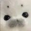 あみのプロフィール画像