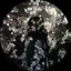 かっぴのプロフィール画像