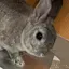 ララのプロフィール画像
