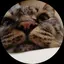コマチのプロフィール画像