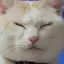mayuraのプロフィール画像