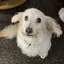 美紀のプロフィール画像
