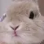 Isのプロフィール画像