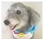 りののプロフィール画像