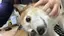 かなのプロフィール画像