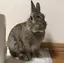しゅりのプロフィール画像