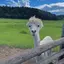 mariaのプロフィール画像