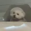 怜那のプロフィール画像