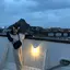 あーののプロフィール画像