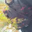 綾音のプロフィール画像