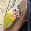 つかてゃのプロフィール画像