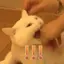 りむのプロフィール画像