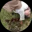 HIのプロフィール画像