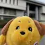 aoiのプロフィール画像