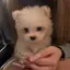 ちゃんみるのプロフィール画像
