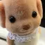 るりのプロフィール画像