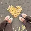 かずのこのプロフィール画像