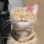 しのプロフィール画像