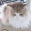 liiminのプロフィール画像