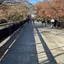 洸佑のプロフィール画像