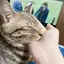 ダレールのプロフィール画像
