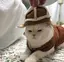 eriのプロフィール画像