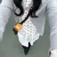 あやののプロフィール画像