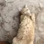 yuのプロフィール画像