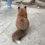 つづきのプロフィール画像
