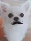 ルーのプロフィール画像