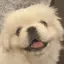 はるかのプロフィール画像