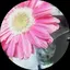 Mのプロフィール画像