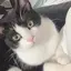 ちかのプロフィール画像