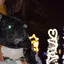 w.のプロフィール画像
