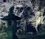 ゆーのプロフィール画像