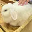 きのプロフィール画像